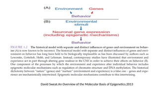 David Sweat.An Overview of the Molecular Basis of Epigenetics.2013
 