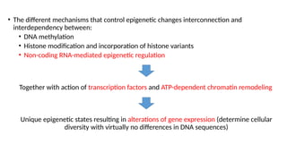 • The different mechanisms that control epigenetic changes interconnection and
interdependency between:
• DNA methylation
• Histone modification and incorporation of histone variants
• Non-coding RNA-mediated epigenetic regulation
Together with action of transcription factors and ATP-dependent chromatin remodeling
Unique epigenetic states resulting in alterations of gene expression (determine cellular
diversity with virtually no differences in DNA sequences)
 