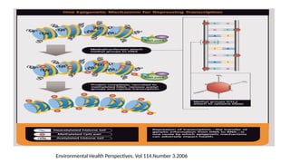 Environmental Health Perspectives. Vol 114.Number 3.2006
 