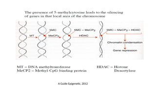 A Guide Epigenetic, 2012
 
