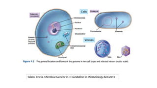 Talaro, Chess. Microbial Genetic in : Foundation In Microbiology.8ed.2012
 