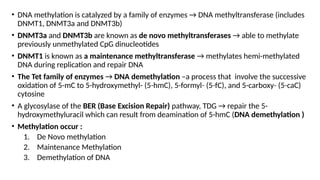 • DNA methylation is catalyzed by a family of enzymes → DNA methyltransferase (includes
DNMT1, DNMT3a and DNMT3b)
• DNMT3a and DNMT3b are known as de novo methyltransferases → able to methylate
previously unmethylated CpG dinucleotides
• DNMT1 is known as a maintenance methyltransferase → methylates hemi-methylated
DNA during replication and repair DNA
• The Tet family of enzymes → DNA demethylation –a process that involve the successive
oxidation of 5-mC to 5-hydroxymethyl- (5-hmC), 5-formyl- (5-fC), and 5-carboxy- (5-caC)
cytosine
• A glycosylase of the BER (Base Excision Repair) pathway, TDG → repair the 5-
hydroxymethyluracil which can result from deamination of 5-hmC (DNA demethylation )
• Methylation occur :
1. De Novo methylation
2. Maintenance Methylation
3. Demethylation of DNA
 