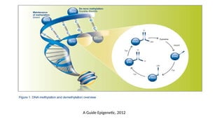 A Guide Epigenetic, 2012
 
