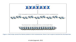 A Guide Epigenetic, 2012
 