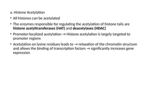 a. Histone Acetylation
• All histones can be acetylated
• The enzymes responsible for regulating the acetylation of histone tails are
histone acetyltransferases (HAT) and deacetylases (HDAC)
• Promoter-localized acetylation → Histone acetylation is largely targeted to
promoter regions
• Acetylation on lysine residues leads to → relaxation of the chromatin structure
and allows the binding of transcription factors → significantly increases gene
expression
 