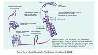 Talaro, Chess. Microbial Genetic in : Foundation In Microbiology.8ed.2012
 