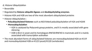 d. Histone Ubiquitylation
• Reversible
• Regulated by histone ubiquitin ligases and deubiquitylating enzymes.
• Histone H2A and H2B are two of the most abundant ubiquitylated proteins
• Histone Ubiquitylation :
• Polyubiquitylated histones such as K63-linked polyubiquitylation of H2A and H2AX
• Monoubiquitylation
• H2A is catalyzed by Polycomb group proteins, and it is mostly associated with gene
silencing
• H2B is Bre1 in yeast and its homologues RNF20/RNF40 in mammals and it is mainly
associated with transcription activation
• The most abundant forms of ubiquitylated histones are monoubiquitylated H2A on K119
and monoubiquitylated H2B on K123 (yeast)/K120 (vertebrates)
 