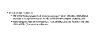 • DNA damage response :
• RNF8/RNF168 catalyzed K63-linked polyubiquitylation of histone H2A/H2AX
provides a recognition site for RAP80 and other DNA repair proteins, and
• monoubiquitylation of histones H2A, H2B, and H2AX is also found at the sites
of DNA DSBs (double strand-breaks)
 