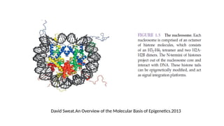 David Sweat.An Overview of the Molecular Basis of Epigenetics.2013
 