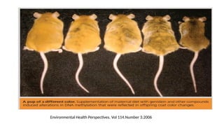 Environmental Health Perspectives. Vol 114.Number 3.2006
 