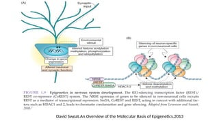 David Sweat.An Overview of the Molecular Basis of Epigenetics.2013
 