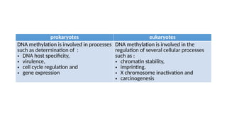 prokaryotes eukaryotes
DNA methylation is involved in processes
such as determination of :
• DNA host specificity,
• virulence,
• cell cycle regulation and
• gene expression
DNA methylation is involved in the
regulation of several cellular processes
such as :
• chromatin stability,
• imprinting,
• X chromosome inactivation and
• carcinogenesis
 