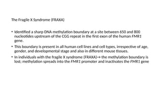 The Fragile X Syndrome (FRAXA)
• Identified a sharp DNA methylation boundary at a site between 650 and 800
nucleotides upstream of the CGG repeat in the first exon of the human FMR1
gene.
• This boundary is present in all human cell lines and cell types, irrespective of age,
gender, and developmental stage and also in different mouse tissues.
• In individuals with the fragile X syndrome (FRAXA)→ the methylation boundary is
lost; methylation spreads into the FMR1 promoter and inactivates the FMR1 gene
 