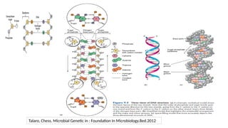 Talaro, Chess. Microbial Genetic in : Foundation In Microbiology.8ed.2012
 