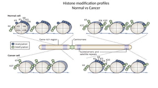 Histone modification profiles
Normal vs Cancer
 