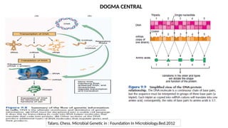 Talaro, Chess. Microbial Genetic in : Foundation In Microbiology.8ed.2012
DOGMA CENTRAL
 