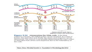 Talaro, Chess. Microbial Genetic in : Foundation In Microbiology.8ed.2012
 