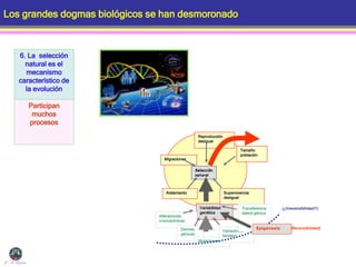 Los grandes dogmas biológicos se han desmoronado
6. La selección
natural es el
mecanismo
característico de
la evolución
Participan
muchos
procesos
J. A. Lozano
Selección
natural
Variabilidad
genética
Reproducción
desigual
Migraciones
Aislamiento
Tamaño
población
Supervivencia
desigual
Alteraciones
cromosómicas
Derivas
génicas
Mutaciones
Variaciones
tandem
Transferencia
lateral génica
Epigénesis (Reversibilidad)
(¿Irreversibilidad?)
 