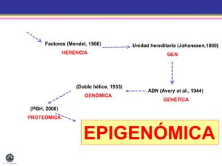 J. A. Lozano
Factores (Mendel, 1866)
HERENCIA
Unidad hereditaria (Johanssen,1909)
GEN
ADN (Avery et al., 1944)
GENÉTICA
(Doble hélice, 1953)
GENÓMICA
(PGH, 2000)
PROTEÓMICA
EPIGENÓMICA
 