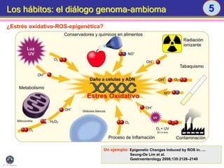 Los hábitos: el diálogo genoma-ambioma 5
¿Estrés oxidativo-ROS-epigenética?
Un ejemplo: Epigenetic Changes Induced by ROS in…..
Seung-Oe Lim et al.
Gastroenterology 2008;135:2128–2140
J. A. Lozano
 