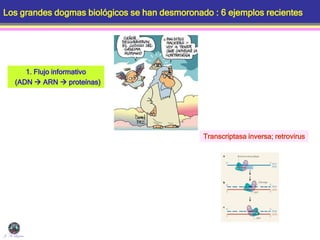 Los grandes dogmas biológicos se han desmoronado : 6 ejemplos recientes
J. A. Lozano
Transcriptasa inversa; retrovirus
1. Flujo informativo
(ADN  ARN  proteínas)
 