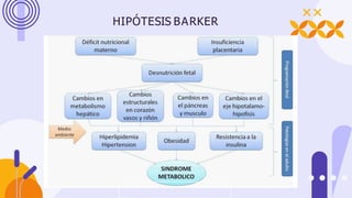HIPÓTESIS BARKER
 