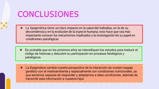 ❖ La Epigenética tiene un claro impacto en la salud del individuo, en la de su
descendencia y en la evolución de la especie humana; esto hace que sea más
importante conocer los mecanismos implicados y la investigación de su papel en
condiciones patológicas
CONCLUSIONES
❖ Es probable que en los próximos años se intensifiquen los estudios para traducir el
código de histonas y descubrir su participación en procesos fisiológicos y
patológicos
❖ La Epigenética cambia nuestra perspectiva de la interacción de nuestro bagaje
genético con el medioambiente y especialmente con condiciones nutricionales, ya
que seríamos capaces de responder y adaptarnos a tales condiciones, además de
transmitir esta información a nuestros hijos
 