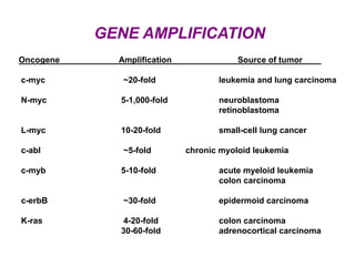 GENE AMPLIFICATION
Oncogene Amplification Source of tumor
c-myc ~20-fold leukemia and lung carcinoma
N-myc 5-1,000-fold neuroblastoma
retinoblastoma
L-myc 10-20-fold small-cell lung cancer
c-abl ~5-fold chronic myoloid leukemia
c-myb 5-10-fold acute myeloid leukemia
colon carcinoma
c-erbB ~30-fold epidermoid carcinoma
K-ras 4-20-fold colon carcinoma
30-60-fold adrenocortical carcinoma
 