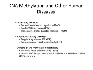 DNA Methylation and Other Human
Diseases
-- Imprinting Disorder:
• Beckwith-Wiedemann syndrom (BWS)
• Prader-Willi syndrome (PWS)
• Transient neonatal diabetes mellitus (TNDM)
-- Repeat-instability diseases
• Fragile X syndrome (FRAXA)
• Facioscapulohumeral muscular dystroph
-- Defects of the methylation machinery
• Systemic lupus erythemtosus (SLE)
• Immunodeficiency, centromeric instability and facial anomalies
(ICF) syndrome
 