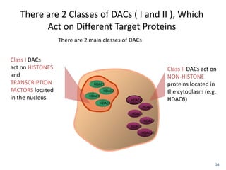 There are 2 Classes of DACs ( I and II ), Which
Act on Different Target Proteins
34
HDAC4
Class II DACs act on
NON-HISTONE
proteins located in
the cytoplasm (e.g.
HDAC6)
Class I DACs
act on HISTONES
and
TRANSCRIPTION
FACTORS located
in the nucleus
There are 2 main classes of DACs
HDAC1
HDAC2
HDAC3
HDAC8
HDAC5
HDAC7
HDAC9
HDAC6
HDAC10
HDAC7
 