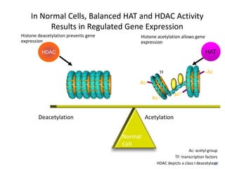 In Normal Cells, Balanced HAT and HDAC Activity
Results in Regulated Gene Expression
37
Normal
Cell
Deacetylation Acetylation
Histone deacetylation prevents gene
expression
Histone acetylation allows gene
expression
HDAC HAT
Ac: acetyl group
TF: transcription factors
HDAC depicts a class I deacetylase
–Ac
Ac–
Ac–
TF
 
