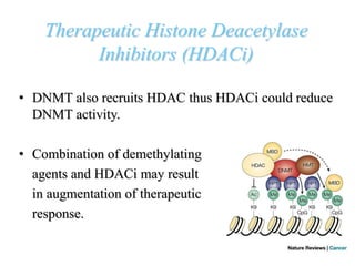 Therapeutic Histone Deacetylase
Inhibitors (HDACi)
• DNMT also recruits HDAC thus HDACi could reduce
DNMT activity.
• Combination of demethylating
agents and HDACi may result
in augmentation of therapeutic
response.
 