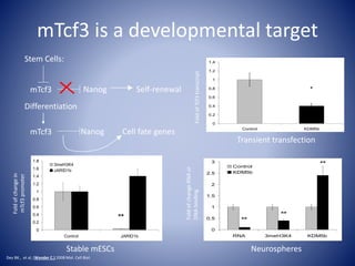 mTcf3 is a developmental target
FoldofTcf3transcript
**
0
0.2
0.4
0.6
0.8
1
1.2
1.4
1.6
1.8
Control JARID1b
3meH3K4
JARID1b
Foldofchangein
mTcf3promoter
*
0
0.2
0.4
0.6
0.8
1
1.2
1.4
Control KDM5b
**
**
**
0
0.5
1
1.5
2
2.5
3
RNA 3meH3K4 KDM5b
Control
KDM5b
FoldofchangeRNAor
DNAbinding
Stem Cells:
mTcf3 Nanog Self-renewal
Differentiation
mTcf3 Nanog Cell fate genes
Transient transfection
Stable mESCs Neurospheres
Dey BK., et al, (Wynder C.) 2008 Mol. Cell Biol.
 