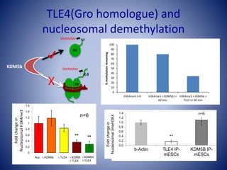 TLE4(Gro homologue) and
nucleosomal demethylation
n=3 ** **
0
0.2
0.4
0.6
0.8
1
1.2
1.4
1.6
n=6
Nuc. r.KDM5b r.TLE4 r.KDM5b
r.TLE4
Foldchangein
NucleosomalH3K4me3
r.KDM5d
r.TLE4
**
0.0
0.2
0.4
0.6
0.8
1.0
1.2
1.4
b-Actin TLE4 IP-
mESCs
KDM5B IP-
mESCs
n=6
Foldchangein
Nucleosomal3meH3K4
0
10
20
30
40
50
60
70
80
90
100
H3K4me3 t=0 H3K4me3 + KDM5b t=
60 min
H3K4me3 + KDM5b +
TLE4 t= 60 min
%methylationremaining
H3
K4
MeMeMe
KDM5b
MeMeMe K4
H3
X
 