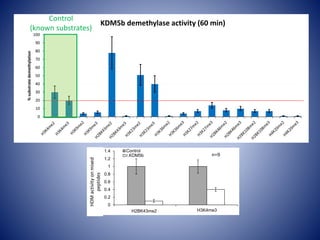 0
0.2
0.4
0.6
0.8
1
1.2
1.4
2meK43-H2B 3meH3K4
Control
r.KDM5b n=9*
H2BK43me2 H3K4me3
**
**
HDMactivityonmixed
peptides
0
10
20
30
40
50
60
70
80
90
100
%substratedemethylation
KDM5b demethylase activity (60 min)
Control
(known substrates)
 