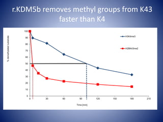 0
10
20
30
40
50
60
70
80
90
100
0 30 60 90 120 150 180 210
%demethylatedsubstrate
Time [min]
H3K4me3
H2BK43me2
r.KDM5b removes methyl groups from K43
faster than K4
 