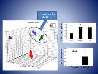 0
0.5
1
1.5
2
2.5
Control K43pep Het
TCF3transcriptionTCF3promoter
* *
0
10
20
30
40
50
*
Control K43pep
N=6
N=3
Peptide mimics
KDM5b+/-
 