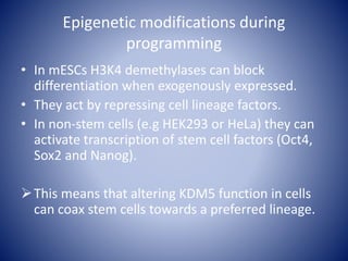 Epigenetic modifications during
programming
• In mESCs H3K4 demethylases can block
differentiation when exogenously expressed.
• They act by repressing cell lineage factors.
• In non-stem cells (e.g HEK293 or HeLa) they can
activate transcription of stem cell factors (Oct4,
Sox2 and Nanog).
This means that altering KDM5 function in cells
can coax stem cells towards a preferred lineage.
 