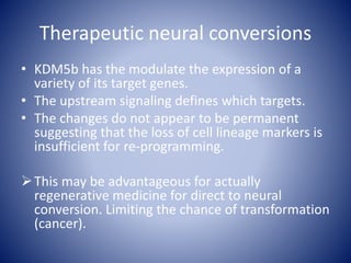 Therapeutic neural conversions
• KDM5b has the modulate the expression of a
variety of its target genes.
• The upstream signaling defines which targets.
• The changes do not appear to be permanent
suggesting that the loss of cell lineage markers is
insufficient for re-programming.
This may be advantageous for actually
regenerative medicine for direct to neural
conversion. Limiting the chance of transformation
(cancer).
 
