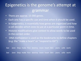 Epigenetics is the genome’s attempt at
grammar
• There are approx. 15 000 genes.
• Each one has a specific use and time when it should be used.
• In Epigenetics, is essentially how genes are organized and how
a cell decides which ones to use at a particular point in time.
• Histone modifications give context to allow words to be used
in the correct order.
• DNA methylation is used as the bookmarks to define chapters
(e.g. the “make a heart” or “respond to IGF”)
See Jane Stop make Run destroy brain Skinheart jeans workcells
See Jane Stop make Run destroy brain Skinheart jeans workcells
 