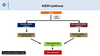EPIGENETIC MECHANISM IN NEMATODE-PLANT INTERACTIONS.pptx