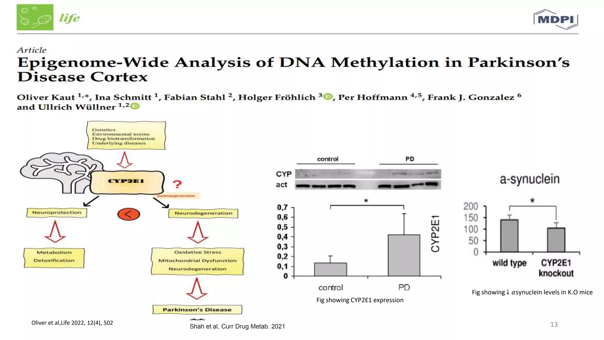 Epigenetic mechanisms in Parkinsons disease | PPTX