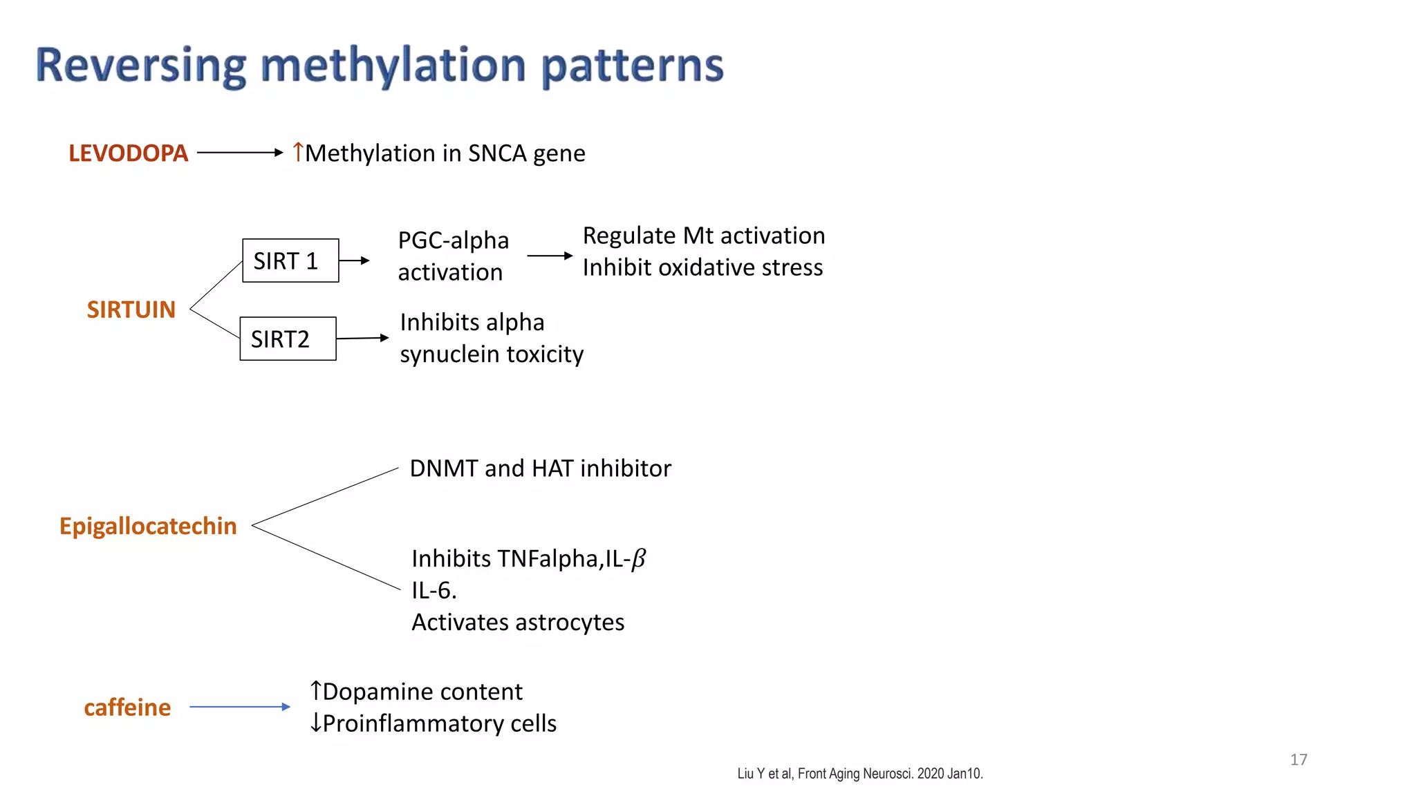 Epigenetic mechanisms in Parkinsons disease | PPTX