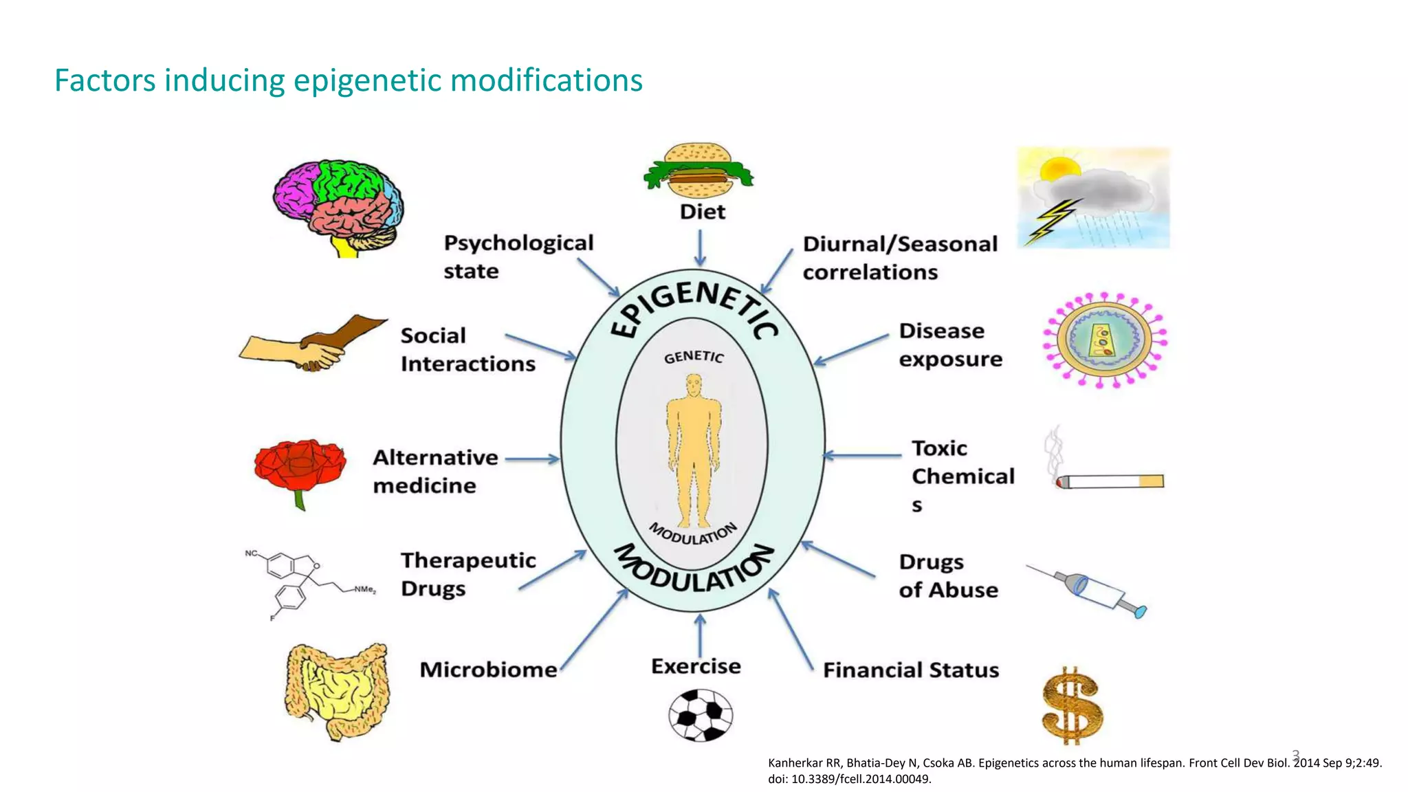 Epigenetic mechanisms in Parkinsons disease | PPTX