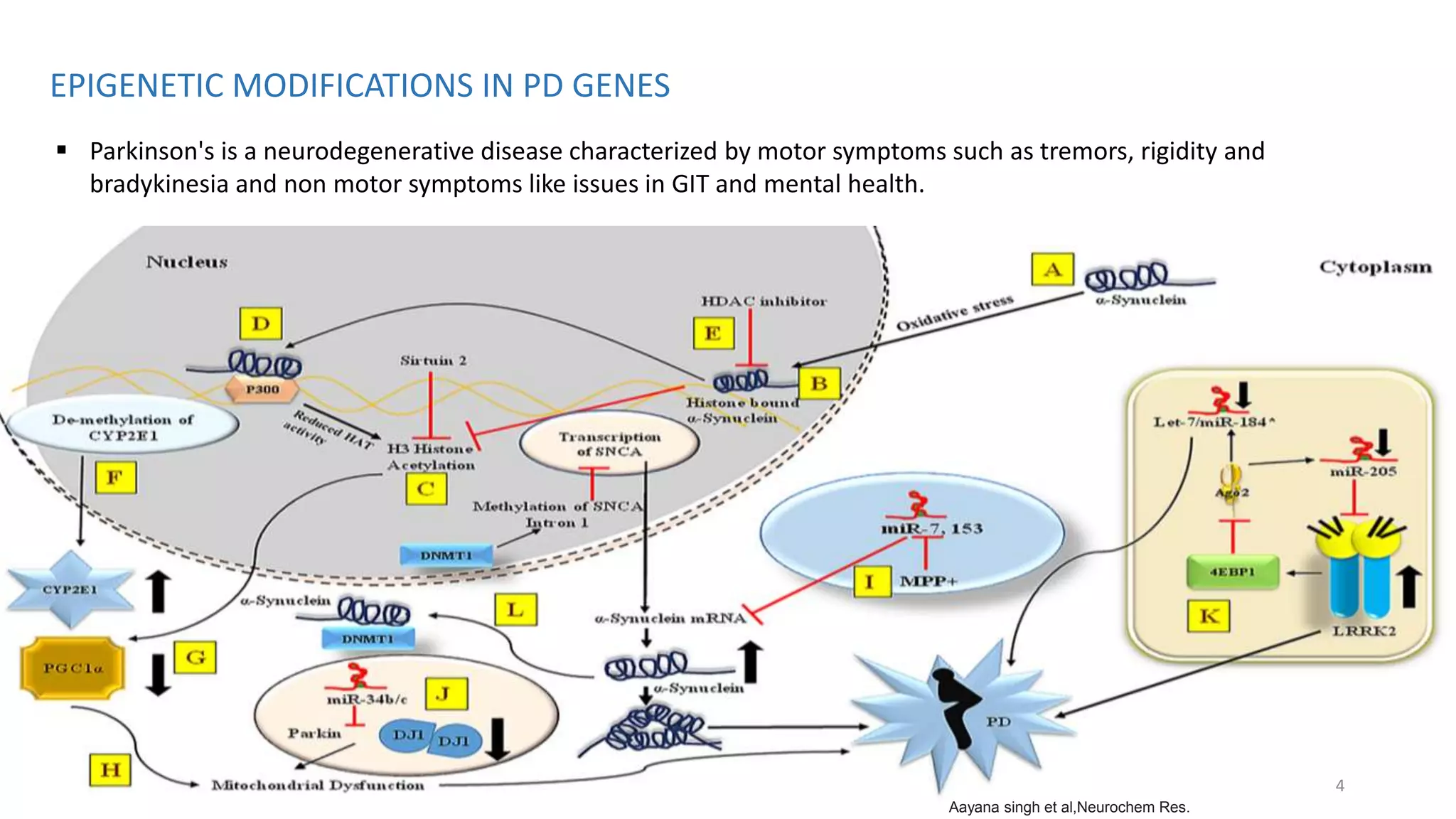 Epigenetic mechanisms in Parkinsons disease | PPTX