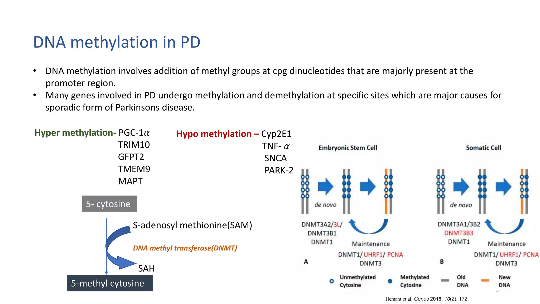 Epigenetic mechanisms in Parkinsons disease | PPTX