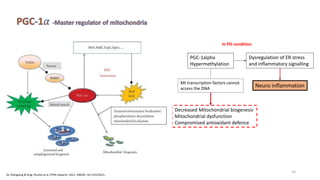 Epigenetic mechanisms in Parkinsons disease | PPTX
