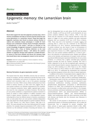 Review 
Focus: Molecular Memory 
Epigenetic memory: the Lamarckian brain 
Andre Fischer1,2,* 
Abstract 
Recent data support the view that epigenetic processes play a role in 
memory consolidation and help to transmit acquired memories even 
across generations in a Lamarckian manner. Drugs that target the 
epigenetic machinery were found to enhance memory function in 
rodents and ameliorate disease phenotypes in models for brain 
diseases such as Alzheimer’s disease, Chorea Huntington, Depression 
or Schizophrenia. In this review, I will give an overview on the 
current knowledge of epigenetic processes in memory function and 
brain disease with a focus on Morbus Alzheimer as the most 
common neurodegenerative disease. I will address the question 
whether an epigenetic therapy could indeed be a suitable therapeu-tic 
avenue to treat brain diseases and discuss the necessary steps 
that should help to take neuroepigenetic research to the next level. 
Keywords Alzheimer’s disease; epigenetics; histone-acetylation; memory; 
neurodegeneration; non-coding RNA 
DOI 10.1002/embj.201387637 | Received 10 December 2013 | Revised 9 January 
2014 | Accepted 13 January 2014 
Memory formation via gene expression control 
The human brain has about 100 billion neurons that are intercon-nected 
via synapses, and this is believed to provide the basis for the 
encoding, consolidation and retrieval of memories. How the brain 
achieves such miraculous tasks is one of the greatest remaining 
mysteries of our time. While various cellular mechanisms have been 
linked to memory function, an often cited view suggests that de 
novo protein synthesis is an absolute requirement for the consolida-tion 
of long-term memories; hence, tightly regulated gene expres-sion 
must be a key component of memory formation. The idea that 
de novo protein synthesis is a requirement for memory formation is 
based on studies in which inhibitors of mRNA translation were 
found to impair memory formation in a time-dependent manner, 
indicating that at least two different phases of memory consolidation 
exist: an early phase that is de novo protein synthesis independent 
and a later phase that critically depends on protein synthesis (Flexner 
et al, 1962; Flexner et al, 1963; Davis & Squire, 1984; Igaz et al, 
2002). The same principle has then been demonstrated for synaptic 
plasticity. For example, long-term potentiation (LTP), which is often 
referred to as the molecular correlate of learning and memory, can 
also be distinguished into an early phase (E-LTP) and late phase 
(L-LTP). Notably, L-LTP but not E-LTP can be blocked by de novo 
protein synthesis inhibitors (Frey & Morris, 1998). It was also 
shown that the induction of L-LTP induced molecular events that 
appear to trigger de novo protein synthesis and gene expression 
programs that can transform E-LTP into L-LTP (Frey & Morris, 
1998). Those data led to the hypothesis of synaptic tagging and 
capturing (Box 1), which was also confirmed on the behavioral 
level (Moncada et al, 2011). However, pharmacological inhibition 
of protein synthesis was also found to cause an accumulation of 
mRNA transcripts which eventually leads to a super-induction of 
gene expression (Tronson et al, 2009), suggesting that the amnestic 
effect of de novo protein synthesis inhibitors is—at least in part— 
due to the induction of transcriptional noise. Despite such different 
views on the interplay and importance of synaptic events and learn-ing- 
induced differential gene expression followed by de novo protein 
synthesis, it is obvious that a tightly controlled gene expression 
program provides the basis for memory encoding. This view is 
further supported by the fact that de-regulated gene expression is 
seen in brain diseases linked to memory impairment (Lu et al, 2004; 
Liang et al, 2010; Ginsberg et al, 2010; Twine et al, 2011; Blalock 
et al, 2011; Kim et al, 2012a; Arefin et al, 2012; Caldeira et al, 2013; 
Mills et al, 2013). To understand the mechanisms that orchestrate 
gene expression programs in brain cells is thus of utmost importance. 
In addition to the activity of transcription factors, epigenetic (Box 1) 
mechanisms are key processes that control gene expression at a 
systems level (Allis et al, 2007) via DNA or nucleosome modifications. 
Nucleosomes consist of the four core histones (H) around which 
147 bp of DNA is wrapped. The histone tails are subjected to post-translational 
modifications including acetylation, methylation, 
phosphorylated, ubiquitination, sumoylation or ADP-ribosylation 
(Vaquero et al, 2003). This is mediated by the counteracting activi-ties 
of enzymes, so-called writers and erasers (Box 1). For example, 
histone-acetylation and histone-methylation are mediated by histone 
acetyltransferases (HAT) and histone-deacetylases (HDAC) or 
histone-methyltransferases (HMTs) and histone-demethylases 
(HDM). Such modifications affect the direct interaction of the DNA 
with histones and thereby alter the chromatin state (Bannister & 
Kouzarides, 2011). 
The activity of such enzymes is also believed to gives rise to a 
combinatorial pattern of chromatin-modifications, the so-called the 
histone-code, that is recognized by protein complexes that 
either activate or repress gene expression (Strahl & Allis, 2000). 
Methylation of DNA at the C-5 atom of cytosine is probably the 
1 Department of Psychiatry and Psychotherapy, University Medical Center Göttingen, Göttingen, Germany 
2 German Center for Neurodegenerative Diseases (DZNE) Goettigen Site, Göttingen, Germany 
*Corresponding author. Tel: +49 5513910378; Fax: +49 551399836; E-mail: afische2@gwdg.de 
ª 2014 The Author. Published under the terms of the CC BY NC ND license The EMBO Journal 1 
 