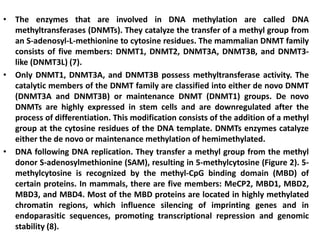 • The enzymes that are involved in DNA methylation are called DNA
methyltransferases (DNMTs). They catalyze the transfer of a methyl group from
an S-adenosyl-L-methionine to cytosine residues. The mammalian DNMT family
consists of five members: DNMT1, DNMT2, DNMT3A, DNMT3B, and DNMT3-
like (DNMT3L) (7).
• Only DNMT1, DNMT3A, and DNMT3B possess methyltransferase activity. The
catalytic members of the DNMT family are classified into either de novo DNMT
(DNMT3A and DNMT3B) or maintenance DNMT (DNMT1) groups. De novo
DNMTs are highly expressed in stem cells and are downregulated after the
process of differentiation. This modification consists of the addition of a methyl
group at the cytosine residues of the DNA template. DNMTs enzymes catalyze
either the de novo or maintenance methylation of hemimethylated.
• DNA following DNA replication. They transfer a methyl group from the methyl
donor S-adenosylmethionine (SAM), resulting in 5-methylcytosine (Figure 2). 5-
methylcytosine is recognized by the methyl-CpG binding domain (MBD) of
certain proteins. In mammals, there are five members: MeCP2, MBD1, MBD2,
MBD3, and MBD4. Most of the MBD proteins are located in highly methylated
chromatin regions, which influence silencing of imprinting genes and in
endoparasitic sequences, promoting transcriptional repression and genomic
stability (8).
 