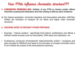 How PTMs influence chromatin structure???
1. CHROMATIN REMODELLING; Addition of any PTM on histone protein affects
inter/intra-nucleosomal interactions and their binding to DNA by steric hindrance.
 Eg; histone acetylation -chromatin relaxation and transcription activation, H4K16ac
inhibits the formation of compact 30 nm fibers and higher order chromatin
structures
2. DOCKING SITES TO RECRUIT OTHER PROTEINS
• Example ; “histone readers,” -specifically bind histone modifications and affects a
defined nuclear process such as transcription, DNA repair and replication, etc.
• Evolutionary conserved chromodomain heterochromatin protein 1 recognize and
gets recruited to H3K9me3 and leads to the formation of compact chromatin which
in turn inhibits the access of the transcriptional machinery.
 